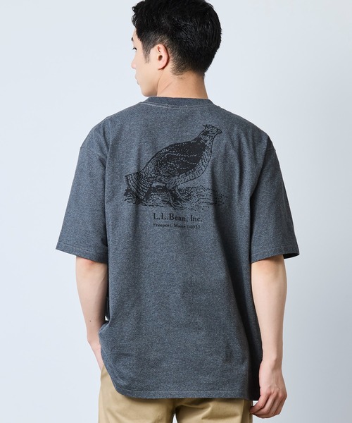 L.L.Bean(エルエルビーン)の「【JAPAN EDITION】モリル・ショートスリーブ・アニマル・グラフィック・ティ(Tシャツ/カットソー・メンズ・グレー系/ホワイト系/グレー系1/ホワイト系1・LARGE/MEDIUM/SMALL)」の1枚目の写真