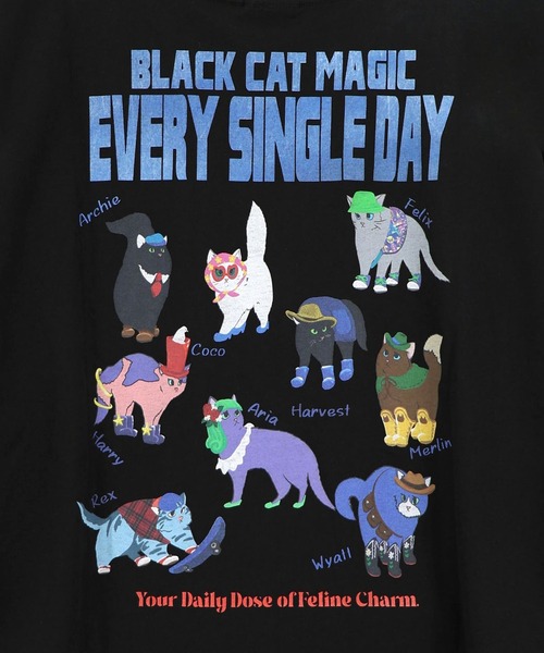ScoLar(スカラー)の「ScoLar(スカラー) ブラックキャットマジック柄 接触冷感Tシャツ(Tシャツ/カットソー・レディース・ブラック/グリーン/ライトブルー/オフホワイト・MEDIUM)」の16枚目の写真