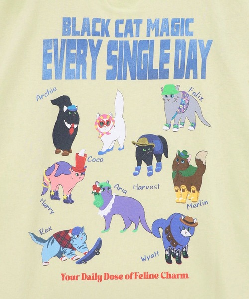ScoLar(スカラー)の「ScoLar(スカラー) ブラックキャットマジック柄 接触冷感Tシャツ(Tシャツ/カットソー・レディース・ブラック/グリーン/ライトブルー/オフホワイト・MEDIUM)」の22枚目の写真