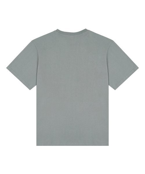 LUVISTRUE(ラヴイズトゥルー)の「VS SLAY TEE(GRAY)(Tシャツ/カットソー・レディース・その他・FREE)」の3枚目の写真