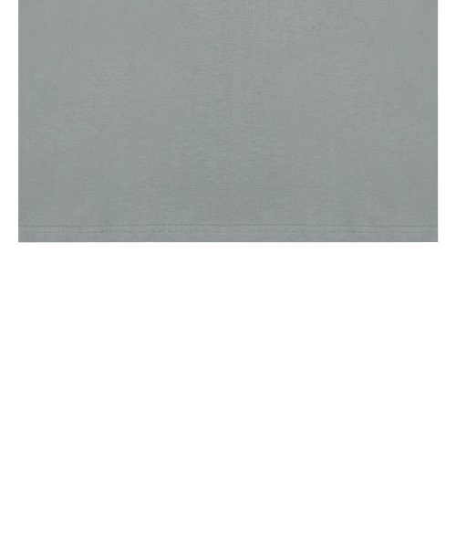 LUVISTRUE(ラヴイズトゥルー)の「VS SLAY TEE(GRAY)(Tシャツ/カットソー・レディース・その他・FREE)」の5枚目の写真