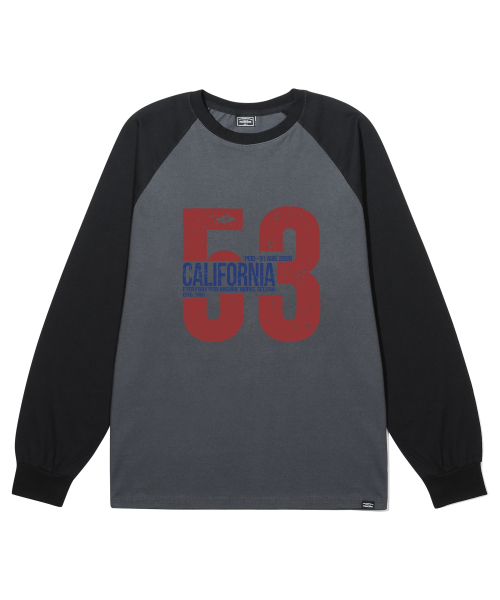 PEID（ペイド）の「PD 53 カリフォルニア ラグラン長袖Tシャツ 4カラー（Tシャツ/カットソー・レディース・ブラック/ホワイト/チャコールグレー/アッシュグレー・LARGE/X-LARGE）」の15枚目の写真