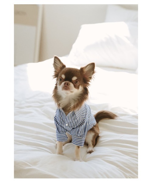 RODEO CROWNS WIDE BOWL（ロデオクラウンズワイドボウル）の「【Aoi