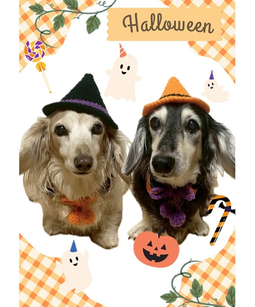 MocoHouse】ハロウィンコスチューム 仮装 手編み/犬用帽子/犬用付け襟