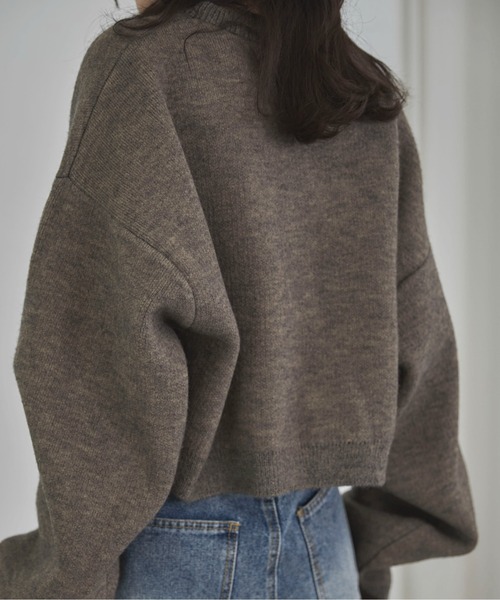 feepur（フェピュール）の「【ハンドウォッシャブル】ダブルフェイスクロップドニット（ニット/セーター・レディース・ブラック/チャコールグレー/ベージュ/ブラウン/ピンク・MEDIUM）」の16枚目の写真