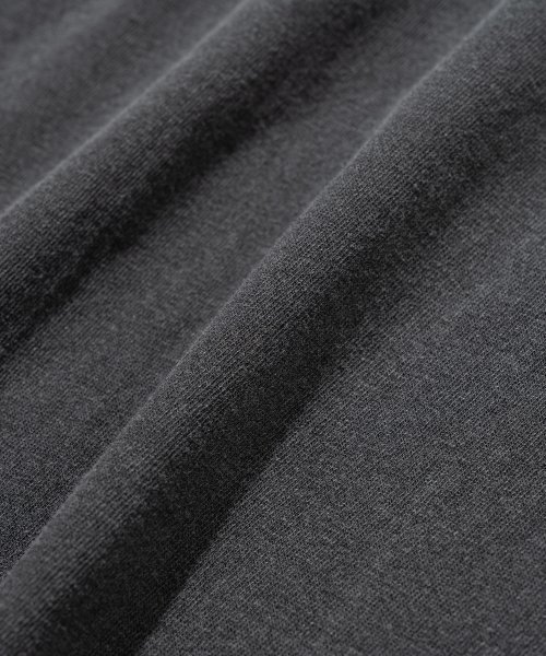 Millo Archive（ミロ アーカイブ）の「エゴアイディアルアーチクロップTシャツ [シメントグレー]（Tシャツ/カットソー・レディース・その他・SMALL）」の2枚目の写真