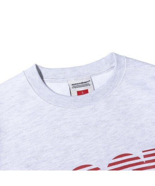 EXTRAORDINARY(エクストラオーディナリー)の「GOOD BAD PRINT CREWNECK L/GREY(スウェット・メンズ・その他・LARGE/X-LARGE/MEDIUM)」の3枚目の写真