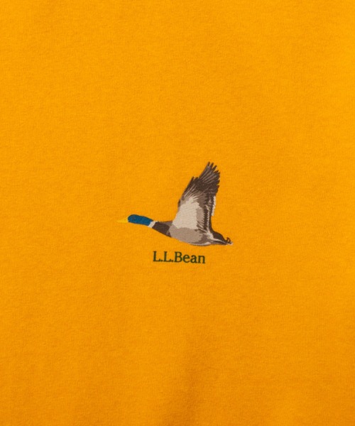 L.L.Bean(エルエルビーン)の「【JAPAN EDITION】モリル・ショートスリーブ・チェスト・グラフィック・ティ(Tシャツ/カットソー・メンズ・グレー/ホワイト/ブルーグリーン/ネイビー/オレンジ・LARGE/MEDIUM/SMALL)」の9枚目の写真