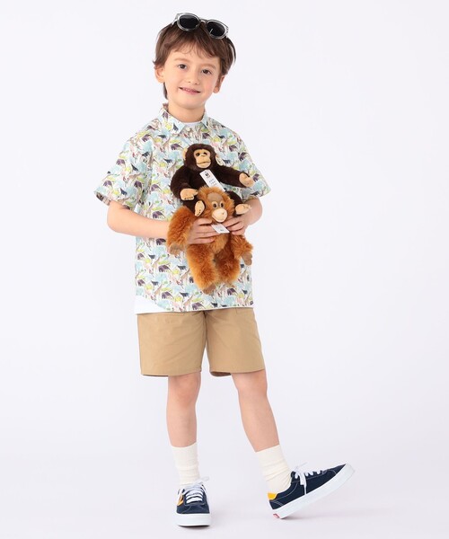 SHIPS(シップス)の「SHIPS KIDS:100~130cm / デイリー ショーツ(その他パンツ・キッズ・レッド系/ブルー系/ベージュ/ホワイト系・130/120/110/100)」の16枚目の写真
