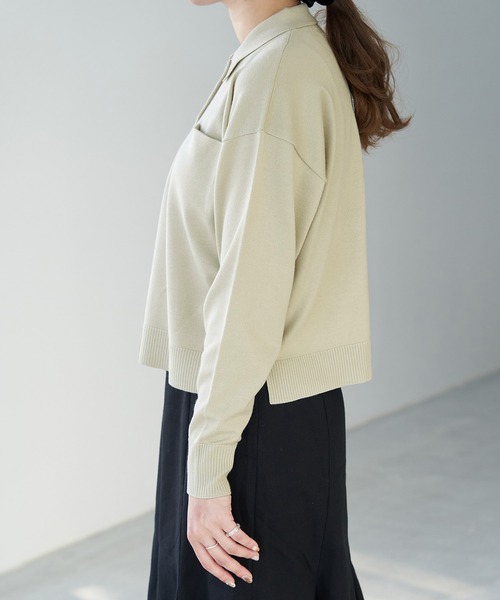 ROPE' PICNIC（ロペピクニック）の「【WEB限定】ポロニットプルオーバー（ニット/セーター・レディース・ブラウン/ブラック/ベージュ系その他・38）」の10枚目の写真