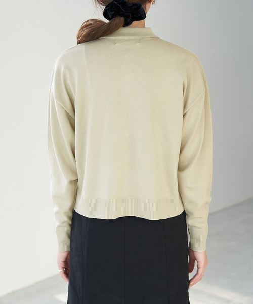 ROPE' PICNIC（ロペピクニック）の「【WEB限定】ポロニットプルオーバー（ニット/セーター・レディース・ブラウン/ブラック/ベージュ系その他・38）」の12枚目の写真