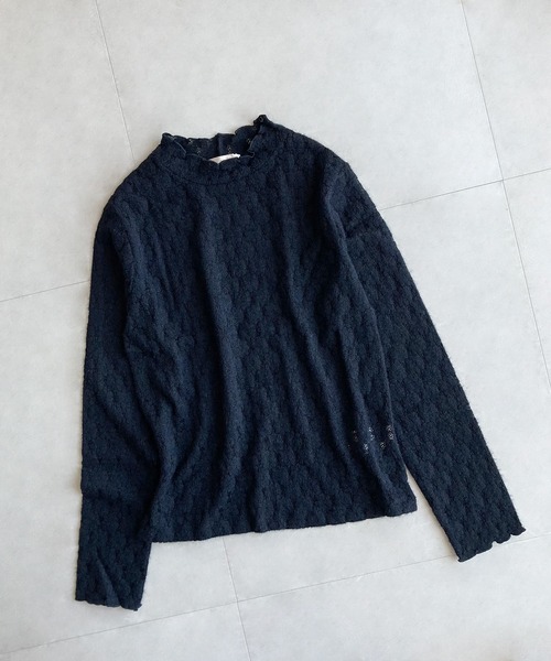 ehka sopo(エヘカソポ)の「総レースハイネック長袖カットソー(Tシャツ/カットソー・レディース・ベージュ/キナリ/オフホワイト/ブラック・フリ-)」の1枚目の写真