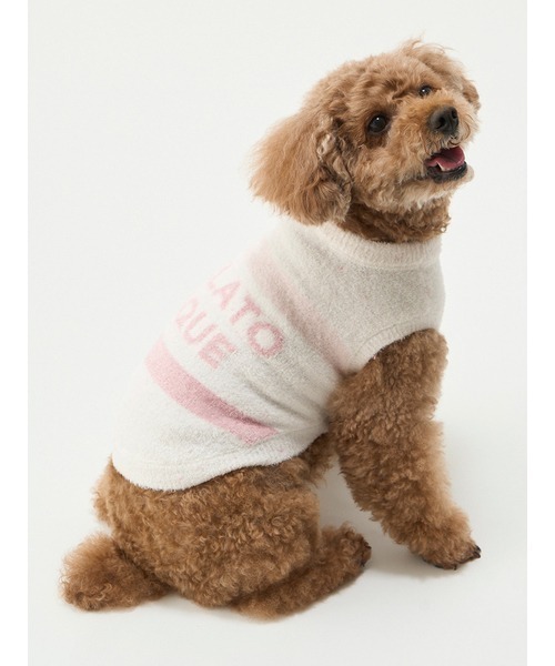 gelato pique(ジェラートピケ)の「【CAT&DOG】【販路限定商品】 スムーズィーケーキボーダープルオーバー(ペットウェア・レディース・ブルー/ピンク・LARGE/MEDIUM/SMALL)」の7枚目の写真
