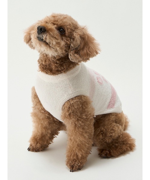 gelato pique(ジェラートピケ)の「【CAT&DOG】【販路限定商品】 スムーズィーケーキボーダープルオーバー(ペットウェア・レディース・ブルー/ピンク・LARGE/MEDIUM/SMALL)」の8枚目の写真