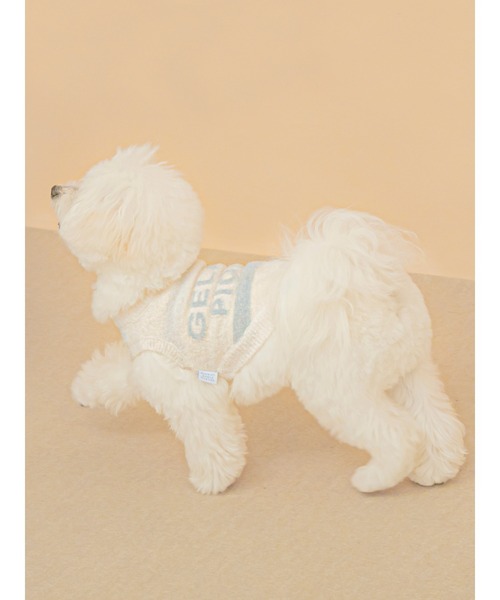 gelato pique(ジェラートピケ)の「【CAT&DOG】【販路限定商品】 スムーズィーケーキボーダープルオーバー(ペットウェア・レディース・ブルー/ピンク・LARGE/MEDIUM/SMALL)」の3枚目の写真