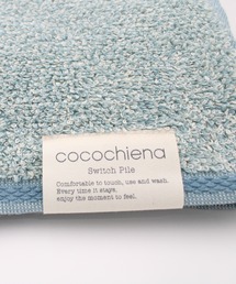 GEORGE'S(W[WY)̃RR`GiQtFCX^I(^I)