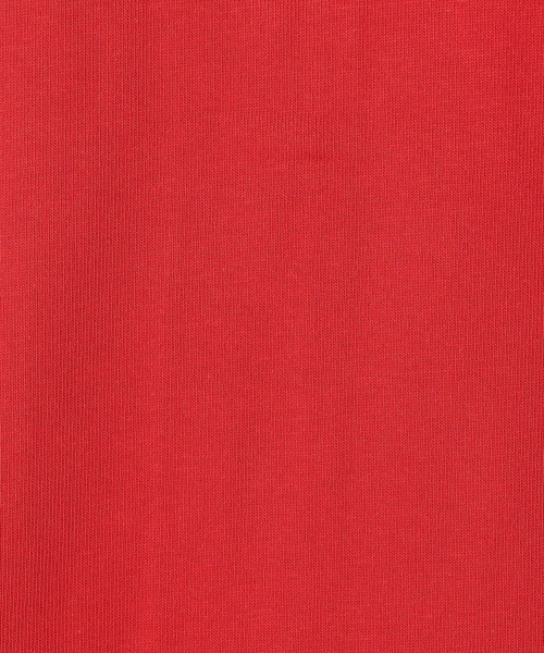 Grand PARK（グランドパーク）の「前後2WAY スナッププルオーバー（カーディガン/ボレロ・レディース・杢グレー/クリーム/レッド/ネイビー・FREE）」の19枚目の写真