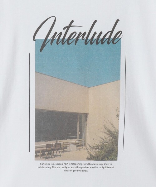 green label relaxing(グリーンレーベルリラクシング)の「<at ease>フォトプリント ロングスリーブ カットソー(Tシャツ/カットソー・レディース・その他1/その他2・FREE)」の8枚目の写真