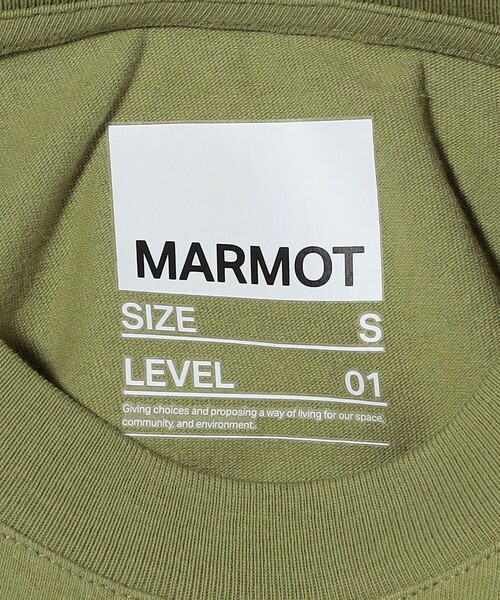 tシャツ 「MARMOT CAPITAL」TREE プリント Tシャツ レディース 楽天市場】【SALE 20％OFF】MARMOT CAPITAL（マーモット