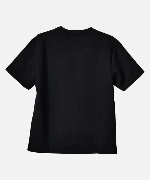 EVOLUTION（エボリューション）の「VネックセクシーなTシャツ（Tシャツ/カットソー・メンズ・オフホワイト/ブラック・MEDIUM/LARGE/X-LARGE）」の6枚目の写真