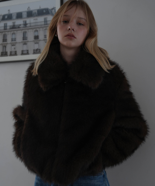 DEHEVE（デヘヴェ）の「Collar Fur Jacket [Brown]（ムートンコート・レディース・ブラウン・FREE）」の5枚目の写真