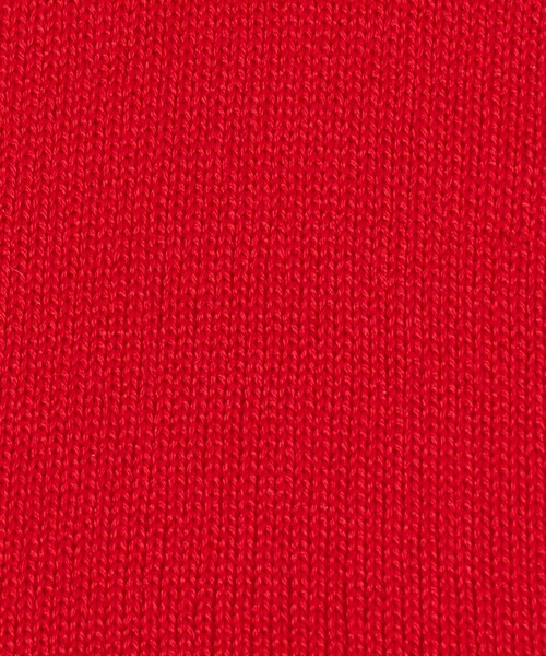 YUQRI（ユクリ）の「＜YUQRI＞SILKY リブ ソックス（ソックス/靴下・レディース・ブラック/ホワイト/ライム/レッド・FREE）」の12枚目の写真