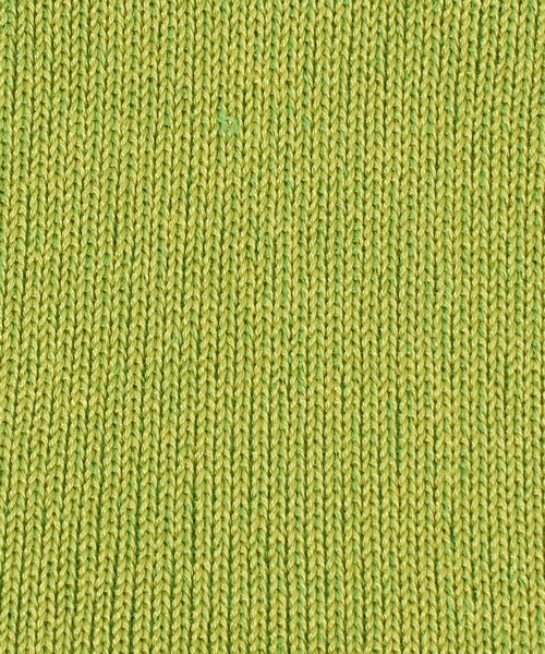 YUQRI（ユクリ）の「＜YUQRI＞SILKY リブ ソックス（ソックス/靴下・レディース・ブラック/ホワイト/ライム/レッド・FREE）」の15枚目の写真