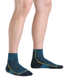 DARN TOUGH VERMONT（ダーンタフバーモント）の「【MADE IN USA】DARN TOUGH ダーンタフ Ms 1959 ハイカー1/4ソック クッション（ソックス/靴下）」