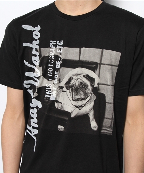 HYSTERIC GLAMOUR（ヒステリックグラマー）の「DOGS IN RAINCOATS プリント Tシャツ（Tシャツ/カットソー・メンズ・ホワイト/パープル/ブラック・LARGE/MEDIUM/SMALL）」の7枚目の写真