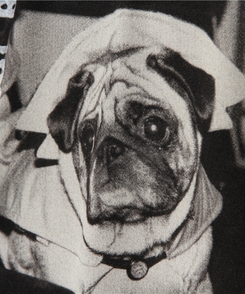 HYSTERIC GLAMOUR（ヒステリックグラマー）の「DOGS IN RAINCOATS プリント Tシャツ（Tシャツ/カットソー・メンズ・ホワイト/パープル/ブラック・LARGE/MEDIUM/SMALL）」の8枚目の写真