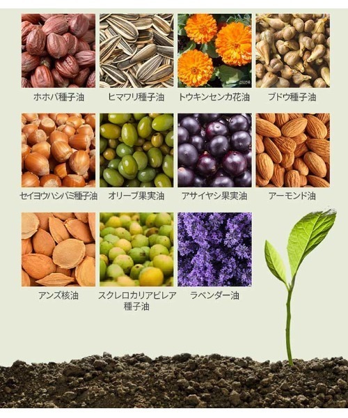 banada（バナダ）の「【KUNDAL/クンダル】マカデミア ヘアセラム（ヘアオイル/ヘアミルク・レディース・その他・FREE）」の7枚目の写真