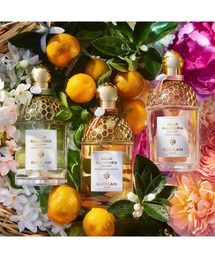 ゲラン　アクアアレゴリア　マンダリンバジリック　ハーベスト　香水　オーデトワレ アクアアレゴリアマンダリンバジリックオーデトワレ(ゲラン)の通販