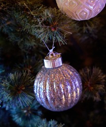 niko and...(jRAh)́y2024Xmasz{[I[ig(CeAG)