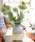 DULTONi_gj́uCALM-TONE VASE WIDE/t[x[Xit[x[Xjvbx[Wn