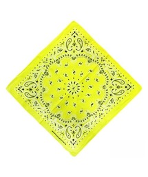 WARAIJOGO（ワライジョウゴ）の「ペイズリーバンダナ/スカーフ55×55cm(NEZ)（バンダナ/スカーフ）」