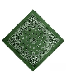 UP START（アップスタート）の「ペイズリーバンダナ/スカーフ55×55cm(NEZ)（バンダナ/スカーフ）」