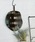 a.depecheiAfyVj́uya.depeche/AfyVzǂɊ|~[@ȃMtgɍœKI@clou hanging mirror 004 BRi~[jvbuE