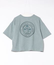 【Kahiko】SURF＆Palms ハエナTシャツ