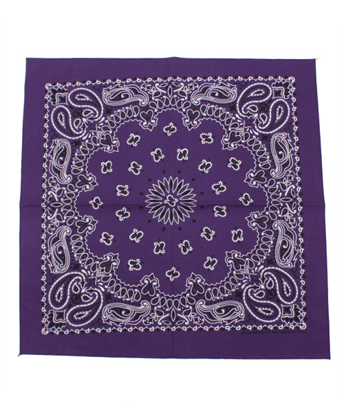 BEAMS（ビームス）の「HAVAHANKﾊﾞﾝﾀﾞﾅ（バンダナ/スカーフ・メンズ・ホワイト/チャコールグレー/ブラック/ベージュ/ブラウン/レッド系その他/レッド/オレンジ/ケリー/ロイヤルブルー/ネイビー/パープル・ONE SIZE）」の9枚目の写真