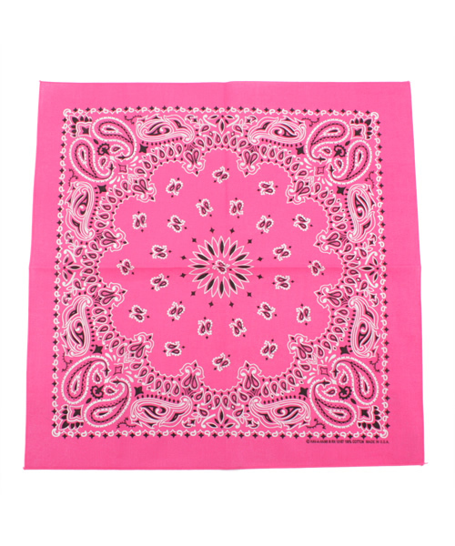 BEAMS（ビームス）の「HAVAHANKﾊﾞﾝﾀﾞﾅ（バンダナ/スカーフ・メンズ・ホワイト/チャコールグレー/ブラック/ベージュ/ブラウン/レッド系その他/レッド/オレンジ/ケリー/ロイヤルブルー/ネイビー/パープル・ONE SIZE）」の11枚目の写真