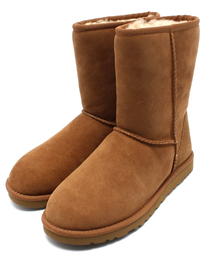 AMERICAN RAG CIE | UGG&reg; Classic Short(クラシックショート)5825/W.C Short(ブーツ)