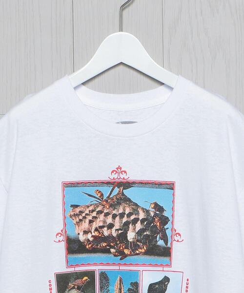 H BEAUTY&YOUTH UNITED ARROWS(エイチビューティーアンドユースユナイテッドアローズ)の「<COME SUNDOWN>ANIMAL T-SHIRT/Tシャツ(Tシャツ/カットソー・メンズ・ホワイト・M/L/S/XL)」の8枚目の写真