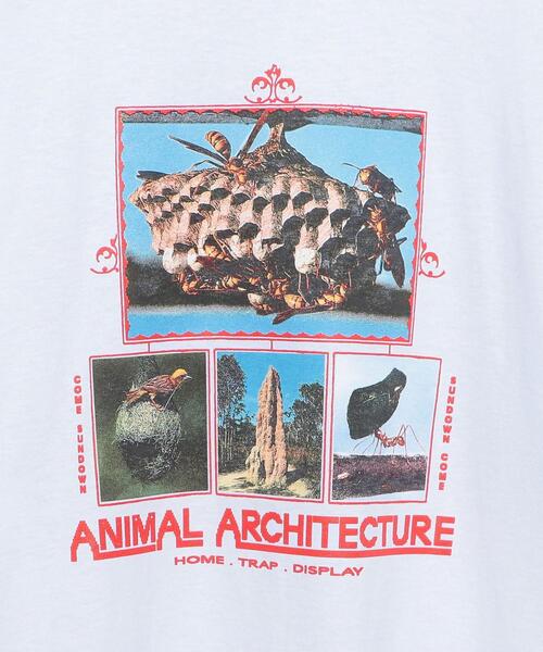 H BEAUTY&YOUTH UNITED ARROWS(エイチビューティーアンドユースユナイテッドアローズ)の「<COME SUNDOWN>ANIMAL T-SHIRT/Tシャツ(Tシャツ/カットソー・メンズ・ホワイト・M/L/S/XL)」の4枚目の写真