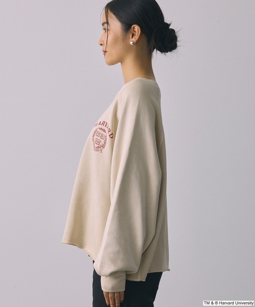 BABYLONE(バビロン)の「【GOOD ROCK SPEED】collegeSWEAT(スウェット・レディース・グリーン/ピンク/ベージュ/チャコール・フリー)」の12枚目の写真