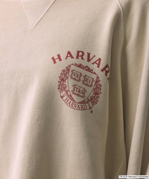 BABYLONE(バビロン)の「【GOOD ROCK SPEED】collegeSWEAT(スウェット・レディース・グリーン/ピンク/ベージュ/チャコール・フリー)」の17枚目の写真