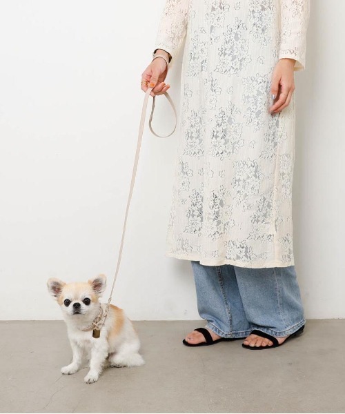 monchéri モンシェリ 犬 ハーネス ソフトラバーハーネス+リード S Amazon | monchéri モンシェリ [ソフトラバーハーネス+リードSET