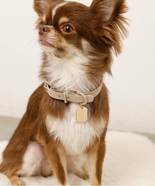 monchéri モンシェリ 犬 ハーネス ソフトラバーハーネス+リード S Amazon | monchéri モンシェリ [ソフトラバーハーネス+リードSET