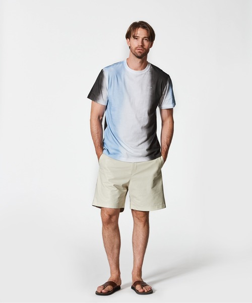 ACANTHUS(アカンサス)の「ACANTHUS:Big Stripe Pigment Dye Tee(Tシャツ/カットソー・メンズ・ホワイト/ブラック・S/M/L/XL)」の4枚目の写真