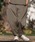 CAMBIO�i�J���r�I�j�́ump13210-Stretch Nylon Balloon Silhouette Easy Pants �i�C�����C�[�W�[�p���c�i���̑��p���c�j�v�b�x�[�W��