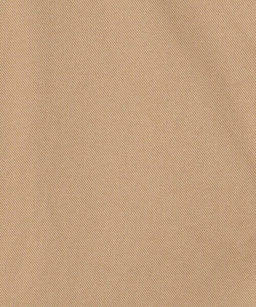 TOMORROWLAND （トゥモローランド）の「スーピマコットン チノクロス バレルパンツ（その他パンツ・メンズ・ネイビー/ベージュ・M/S/XS）」の14枚目の写真